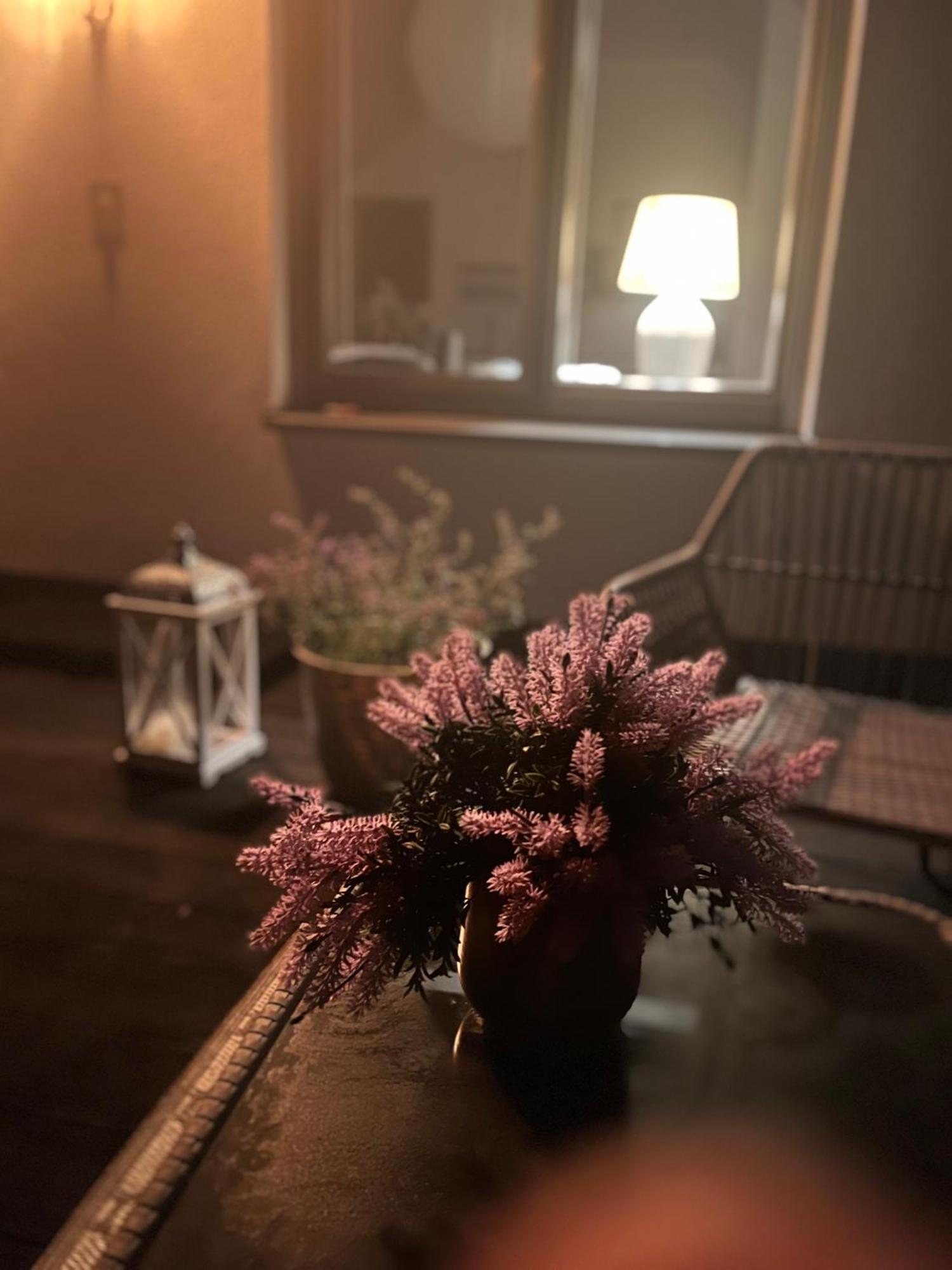 Stilvolle Studiowohnung Mit Sonnenterasse レーダ・ヴィーデンブリュック エクステリア 写真